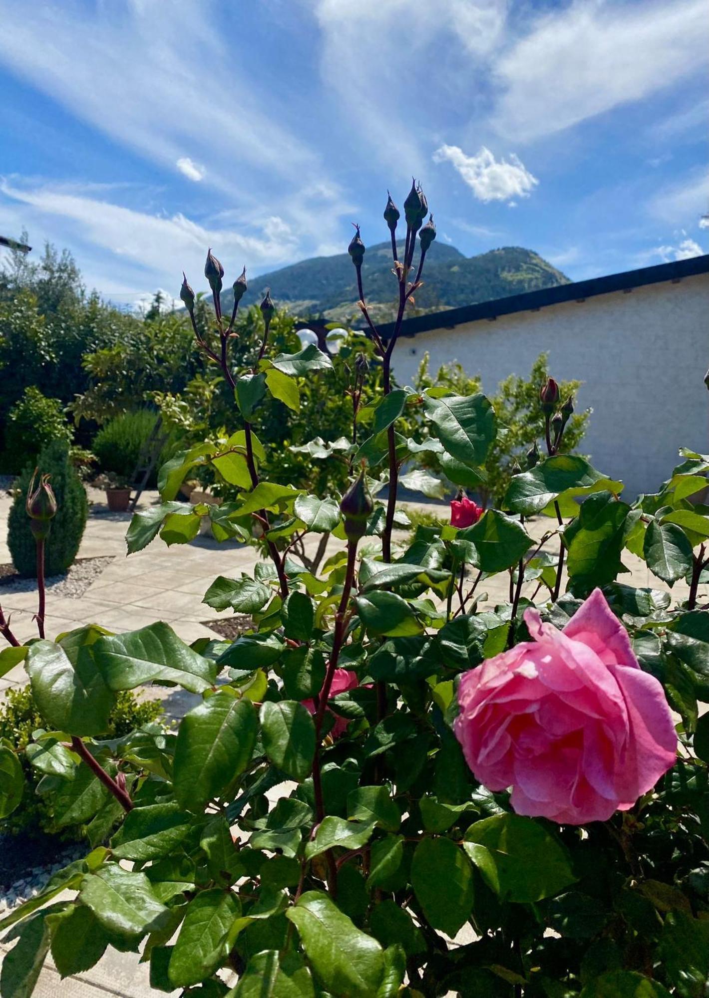 Maison d'hôtes Equiturismo San Lorenzo - Kamara *